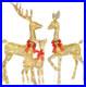 Reno_navidad_3_piezas_familia_dorada_luces_led_stakes_decoracion_exterior_casa_01_ri