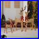 SET_OF_3_Deer_Family_LED_Lighted_Figurines_Christmas_Outdoor_Yard_Decorations_01_fd