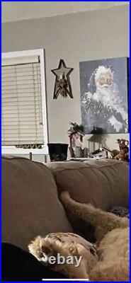 Santa claus picture framed Dollar General Santa Picture