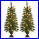 Set_Of_2_Porch_Christmas_Trees_3_5_Pre_Lit_35_Clear_Lights_Each_With_Pots_New_01_pas