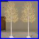 Set_of_2_6_feet_Lighted_Birch_Tree_160_LED_Warm_White_for_Home_Festival_Part_01_vzv
