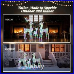 Set of 3 Christmas Multicolor Reindeer Family Lighted Deer for In/Outdoor Decor