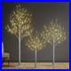 Set_of_3_Lighted_Birch_Tree_4FT_6FT_and_8FT_Artificial_Tree_for_Decoration_In_01_vehk