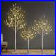 Set_of_3_Lighted_Birch_Tree_4FT_6FT_and_8FT_LED_Artificial_Tree_for_Decoration_i_01_aad