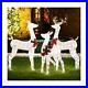 Shintenchi_3_Piece_LED_Lighted_Christmas_Deer_Outdoor_Yard_Decorations_3D_Su_01_seai