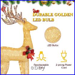 Shintenchi Lighted Christmas Deer, Outdoor Indoor Decoration with 100 LED Lig