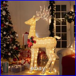 Shintenchi Lighted Christmas Deer, Outdoor Indoor Decoration with 100 LED Lig