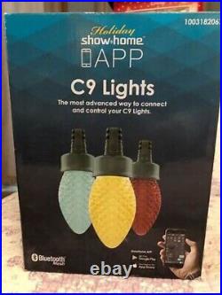Show Home 24 Light LED Multi-Color C9 LED APP Controlled