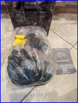Show Home 24-Light LED Multi-Color C9 LED Christmas Lights-Rare-New Show Home 24-Light LED Multi-Color C9 LED Christmas Lights-Rare-New