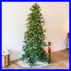 Slim_and_Stately_Indoor_Unlit_Artificial_Christmas_Tree_7_ft_by_Sunnydaze_01_dp