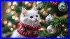 Snowbelle_S_Christmas_Magic_A_Tiny_Kitten_Decorates_Her_Tree_With_Joy_Sparkle_And_A_Fluffy_Paw_01_fe