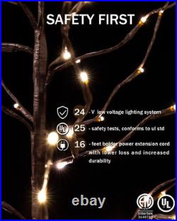 Star Light Tree Set 4ft, 5ft and 6ft with 128/216/256 Warm White LEDs for Hol