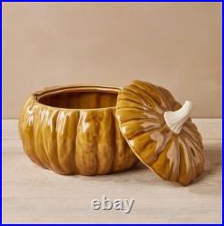 Stoneware Fall Thanksgiving Pumpkin Soup Tureen John Derian 2023 Target RARE