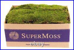 SuperMoss (21508) Preserved Sheet Moss, Fresh Green, 5 Pounds