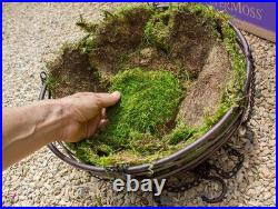 SuperMoss (21508) Preserved Sheet Moss, Fresh Green, 5 Pounds