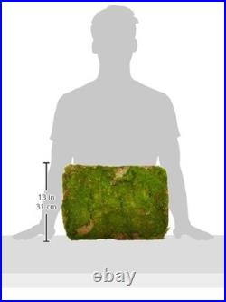 SuperMoss (21508) Preserved Sheet Moss, Fresh Green, 5 Pounds