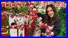 The_Best_Christmas_Decor_U0026_Gifts_At_World_Market_U0026_Michaels_2025_Shop_With_Me_Vlog_01_aslp