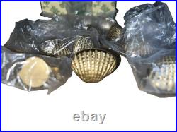 The Bombay Company 12 Solid Brass Shell Vintage Place Card Holders