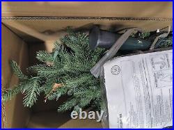 The Classic Green Christmas Tree by Martha Stewart