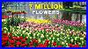 The_World_S_Biggest_Flower_Garden_4k_Walk_In_Keukenhof_Netherlands_01_cfp
