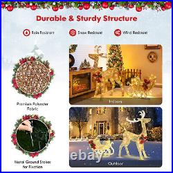 Topbuy Lighted Christmas Reindeer & Sleigh Pre-lit Holiday Outdoor Decoration