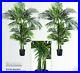 Two_4_Areca_Artificial_Tropical_Palm_Trees_In_Pot_504_01_zz