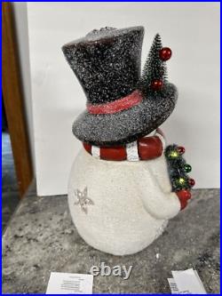 Valerie Parr Hill 17 Snowman White Bottle Brush Wreath Tree Stars Lighted New