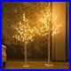 Vanthylit_Prelit_Birch_Tree_Light_White_Christmas_Tree_for_Home_Party_Weddin_01_xx