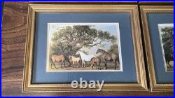 Vintage George Stubbs Framed Prints Set of 4 Clover Leaf Collection Equestrian