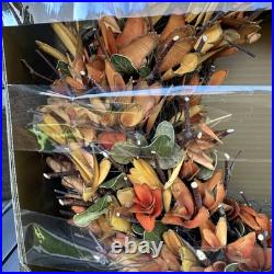 Vintage PIER-1 AUTUMN FALL HALLOWEEN 19 WREATH WOOD CURL WREATH