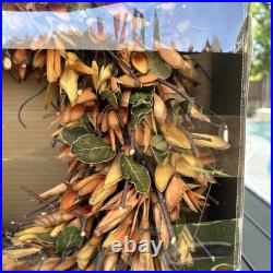 Vintage PIER-1 AUTUMN FALL HALLOWEEN 19 WREATH WOOD CURL WREATH