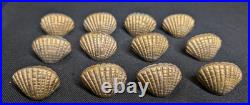 Vintage The Bombay Company Brass Shell Place Card Holders Set Of 12 W Shell