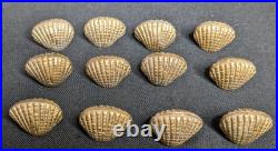 Vintage The Bombay Company Brass Shell Place Card Holders Set Of 12 W Shell