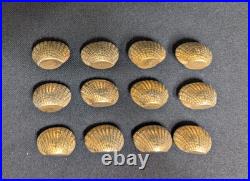 Vintage The Bombay Company Brass Shell Place Card Holders Set Of 12 W Shell