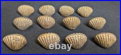 Vintage The Bombay Company Brass Shell Place Card Holders Set Of 12 W Shell