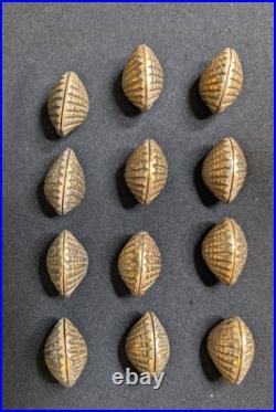 Vintage The Bombay Company Brass Shell Place Card Holders Set Of 12 W Shell