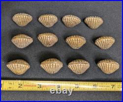 Vintage The Bombay Company Brass Shell Place Card Holders Set Of 12 W Shell