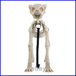 White Skeleton Dog Halloween Decoration 60 Inch OUTDOOR White Skeleton Dog Halloween Decoration 60 Inch OUTDOOR