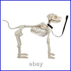 White Skeleton Dog Halloween Decoration 60 Inch OUTDOOR White Skeleton Dog Halloween Decoration 60 Inch OUTDOOR