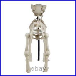 White Skeleton Dog Halloween Decoration 60 Inch OUTDOOR White Skeleton Dog Halloween Decoration 60 Inch OUTDOOR