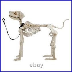 White Skeleton Dog Halloween Decoration 60 Inch OUTDOOR White Skeleton Dog Halloween Decoration 60 Inch OUTDOOR