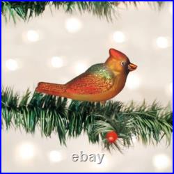 Wholesale Lot of 12 Clip Gentle (Female) Cardinal Blown Glass Ornaments by OWC